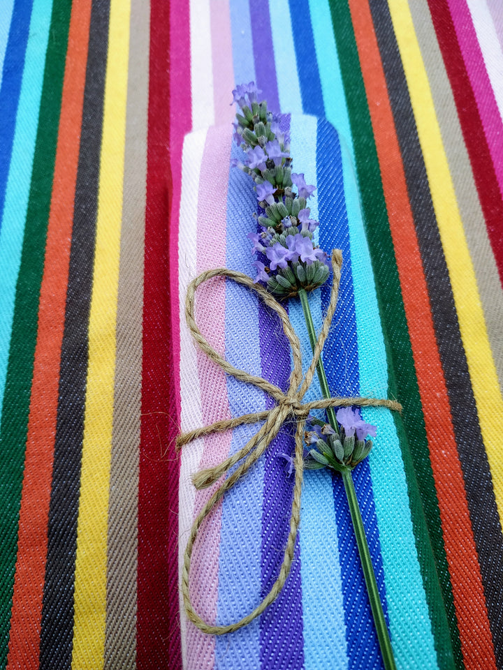 rainbow napkin rolled on a rainbow matching table cloth